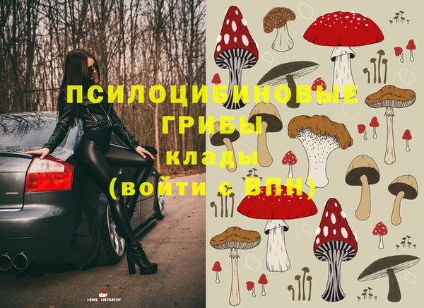 мдпв Приозерск