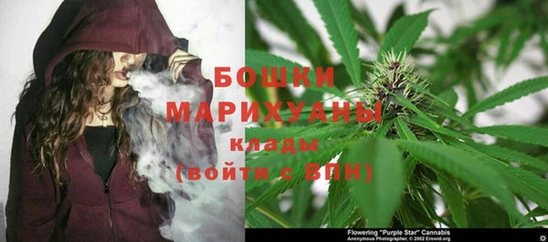 дживик Ростов