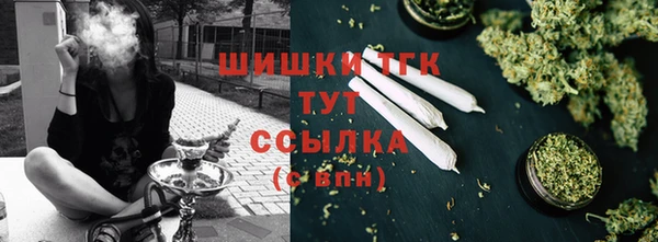 стаф Рославль