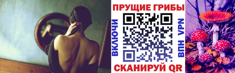 Псилоцибиновые грибы Psilocybe  Купить где  Людиново 